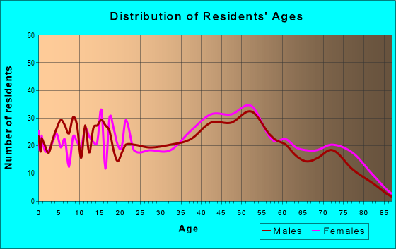 Age and Sex of Residents in South Side in New Philadelphia, OH
