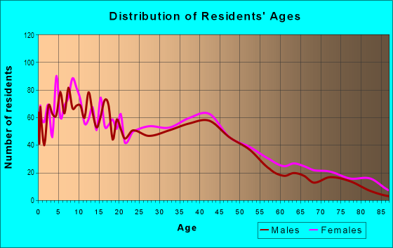 Age and Sex of Residents in Downtown Lorain in Lorain, OH