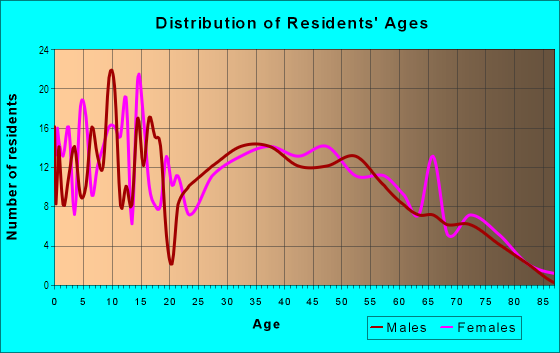 Age and Sex of Residents in Vincent in Lorain, OH