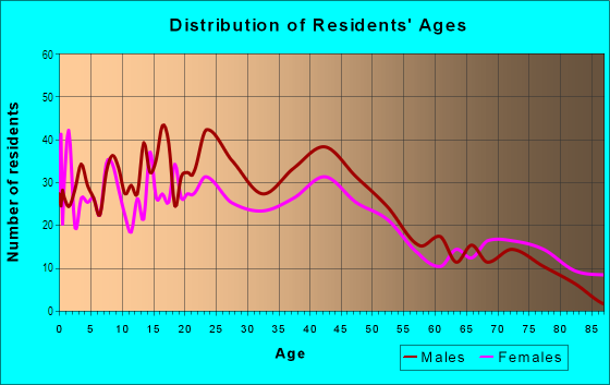 Age and Sex of Residents in Elizabeth Park Valley in Akron, OH