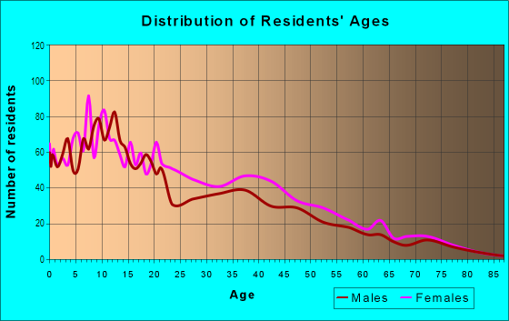 Age and Sex of Residents in Lower South Providence in Providence, RI