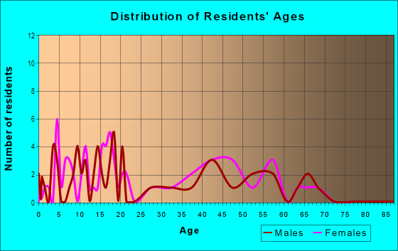 Age and Sex of Residents in Holiday Park in Dallas, TX