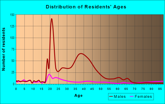 Age and Sex of Residents in Downtown in Huntsville, TX