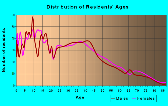 Age and Sex of Residents in Downtown in La Puente, CA