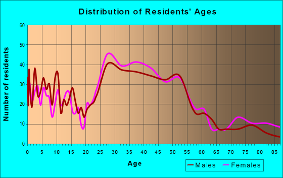 Age and Sex of Residents in Windsor Road in Austin, TX