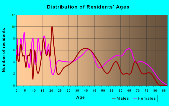 Age and Sex of Residents in Morningside Park in Fort Worth, TX