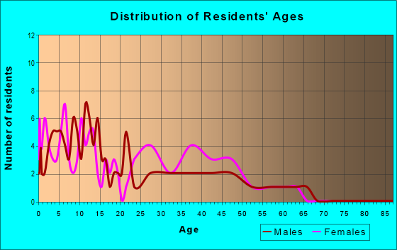 Age and Sex of Residents in Hamlet in Fort Worth, TX