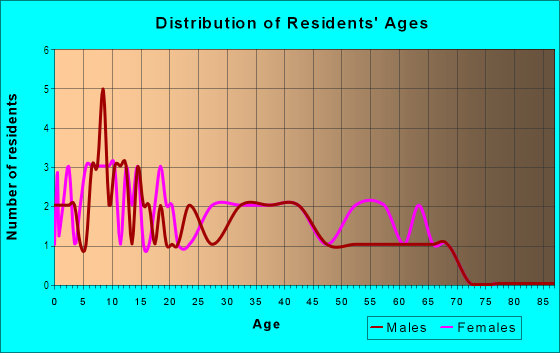 Age and Sex of Residents in Big Town Estates in Mesquite, TX