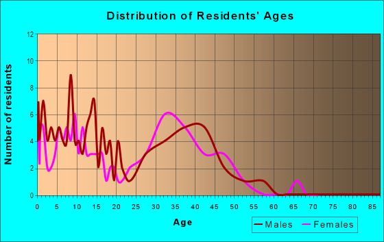 Age and Sex of Residents in Somerset in Round Rock, TX