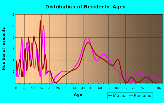 Age and Sex of Residents in Peaceful Valley in Bellaire, TX