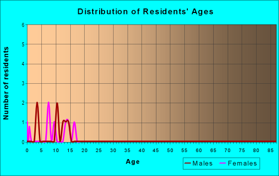 Age and Sex of Residents in Downtown District in Bay City, TX
