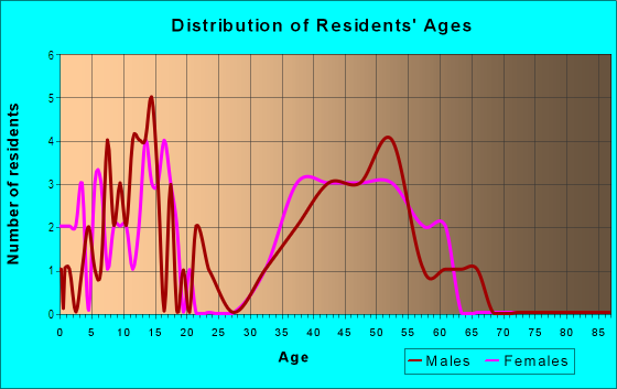 Age and Sex of Residents in Northend in Blacksburg, VA