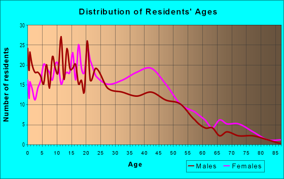 Age and Sex of Residents in Norview in Norfolk, VA