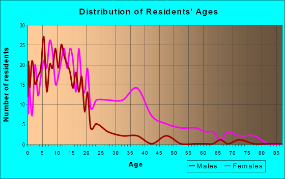Age and Sex of Residents in Diggs Town in Norfolk, VA