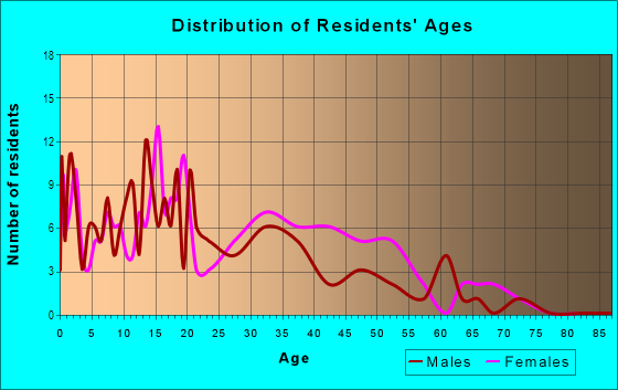 Age and Sex of Residents in Newtown in Norfolk, VA