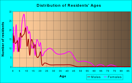 Age and Sex of Residents in Bowling Green in Norfolk, VA