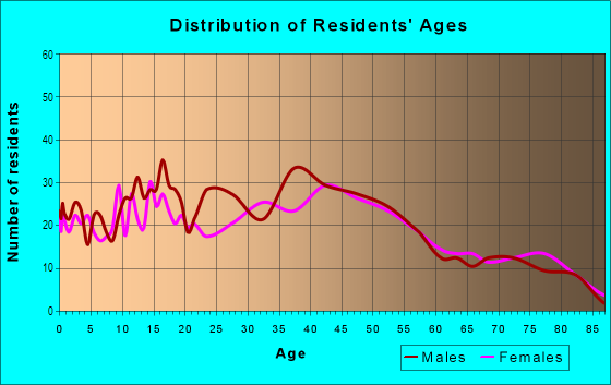 Age and Sex of Residents in Chico in Bremerton, WA