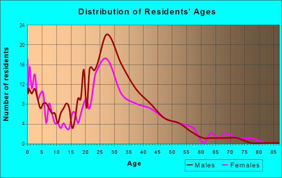 Age and Sex of Residents in Little Kabul in Fremont, CA