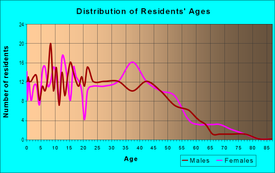 Age and Sex of Residents in Stallion in San Jose, CA