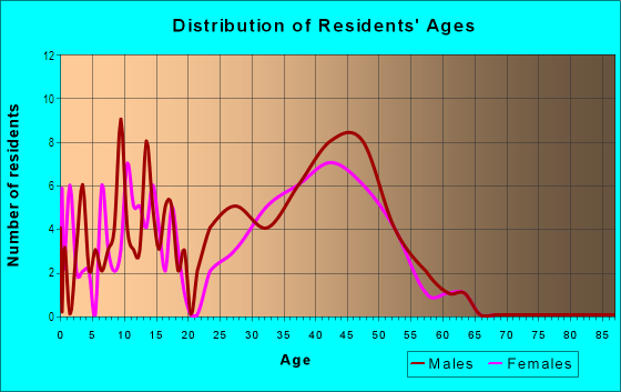 Age and Sex of Residents in Willett Ridge in Steamboat Springs, CO