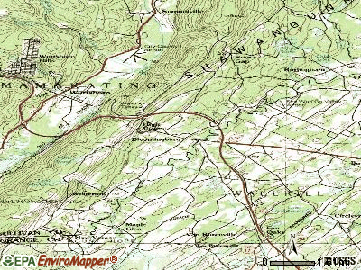 Bloomingburg, New York (NY 12721) profile: population, maps, real ...