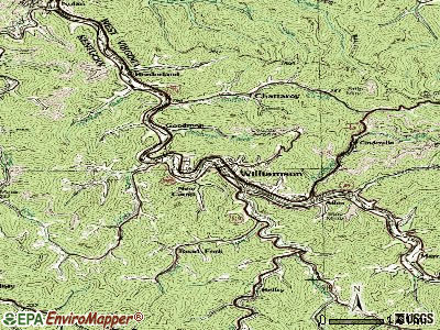 Williamson, West Virginia (WV 25661) profile: population, maps, real ...