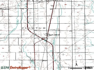 Pesotum, Illinois (IL 61863) profile population, maps, real estate