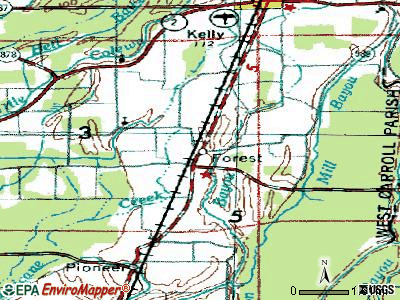 Forest, Louisiana (LA 71263) profile: population, maps, real estate ...