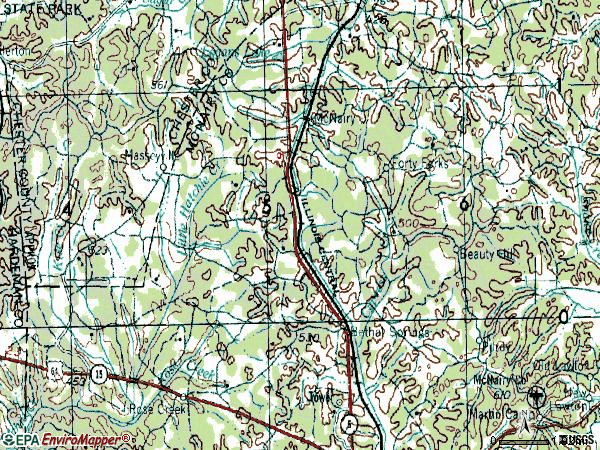 38315 Zip Code (Bethel Springs, Tennessee) Profile - homes, apartments ...